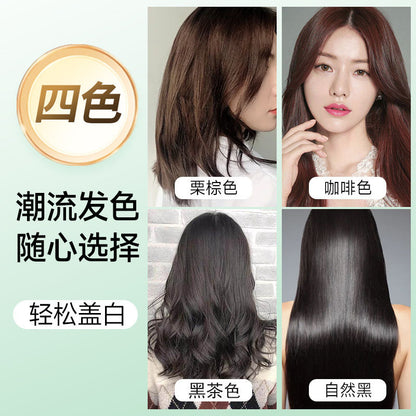 Natural black bag bubble dye can cover white hair plant hair dye cream easy hair dye solid color hair dye wholesale